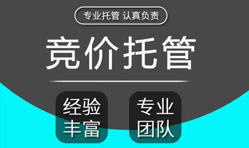 競價帳戶托管